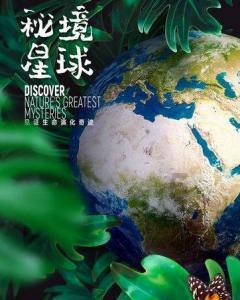 睡前1小时坚持陪娃做足3件事，一个月孩子就大不同，很多家长还不知道
