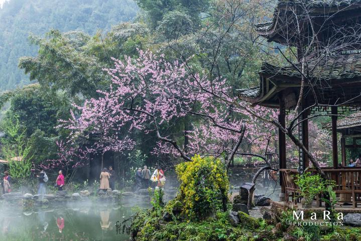 单词派对