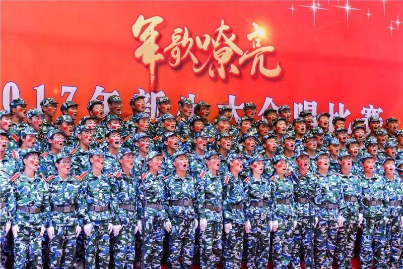 救援非洲金猫